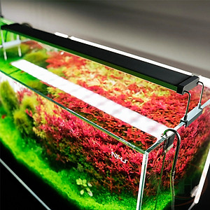 Đèn led Chihiros B 20, 30, 45, 60, 80, 90, 120 cm series quang phổ rgb bể thủy sinh cá tép