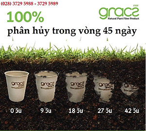 Combo 50 cái Hộp kèm nắp bã mía Thái Lan 350ml - thương hiệu Gracz