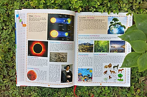 Sách Childrens Picture Dictionary - Từ Điển Tranh Dành Cho Trẻ Em