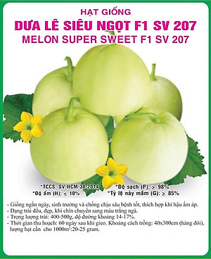 Hạt giống Dưa Lê F1 siêu ngọt VTS200