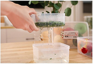 Bộ 3 hộp đựng thực phẩm Nakaya 1100ml vuông - nội địa Nhật Bản