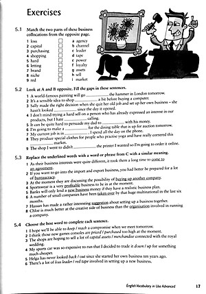 English Vocabulary in Use: Vocabulary Reference and Practice (CD-ROM)
