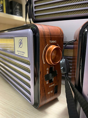 Đài Radio FM DS-1975BT Nhật-Kiểu Dáng Cổ Điển - Loa Bluetooth 5.4 Hỗ Trợ USB, Thẻ nhớ, Cáp sạc typeC - Hàng chính hãng