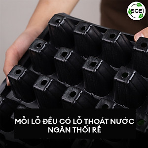 Khay Gieo Hạt/ Khay Ươm Cây Giống GT. Cho Năng Suất Cao, Cây Nhanh Lớn, Cây Con Khỏe, Dễ Sinh Trưởng. Thương Hiệu SGE