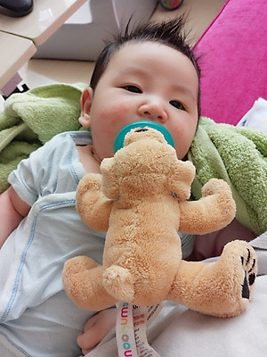 NÚM TI ĐỒ CHƠI NOOKUMS TỪ MỸ CHO BÉ