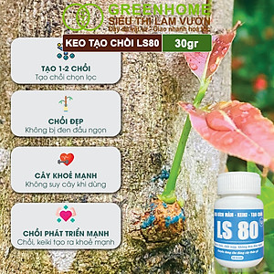 Keo Tạo Chồi LS80, Greenhome, Hũ 30gr, Tạo Mầm Tại Vị Trí Bất Kỳ, Có Chọn Lọc, Không Suy Cây, Đen Chồi