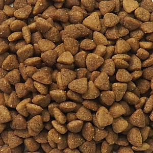 [5KG ]- Thức ăn cho chó TODAY'S DINNER nhập khẩu Hàn Quốc