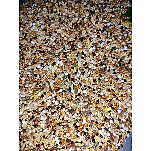 Ngũ cốc chim cu gáy đặc biệt 12 loại hạt Phụ kiện Kabosa