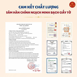 Hộp 10 Gói Hồng sâm 6 năm Daedong Korea thái lát, sấy khô - Sliced Korean Red Ginseng (20 g x 10)