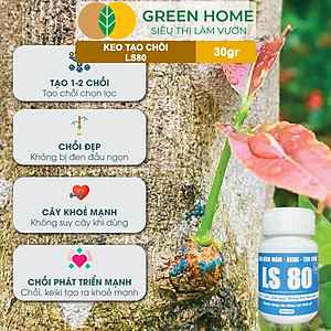 Keo Tạo Chồi LS80, Greenhome, Hũ 30gr, Tạo Mầm Tại Vị Trí Bất Kỳ, Có Chọn Lọc, Không Suy Cây, Đen Chồi