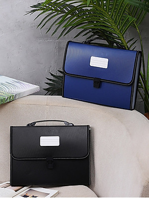 Cặp Đựng Tài Liệu Văn Phòng Phẩm NASI TL1003 nhiều ngăn khổ A4 13 ngăn phân trang tiện lợi tập file đựng lưu trữ hồ sơ văn phòng học sinh sinh viên túi đựng tài liệu nhựa PP cao cấp