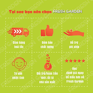 Snack Bánh Mì Nướng Rong Biển FRESHGARDEN Siêu Ngon Giòn Rụm Dinh Dưỡng Gói 52g
