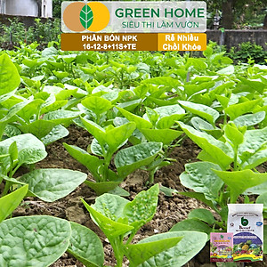 Phân bón NPK 16-12-8-11S+TE Greenhome, Better, Bao 1kg, Phát Triển Nhanh Thân, Cành, Lá, Bộ Rễ