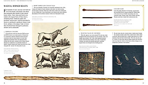 Sách Fantastic Beasts: The Wonder of Nature (Amazing Animals and the Magical Creatures of Harry Potter and Fantastic Beasts) (Paperback)