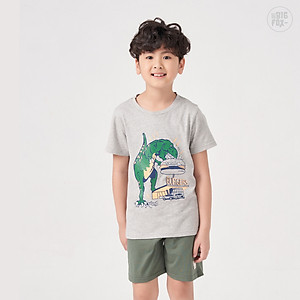 Áo thun bé trai BIGFOX - MISS MEOW size đại, áo cho bé chất cotton phong cách Âu Mỹ in Khủng Long 11 - 40 kg QATE 01