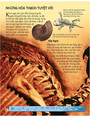 Sách Bách Khoa Tri Thức Về Khám Phá Thế Giới Cho Trẻ Em - Khủng Long (Tái Bản 2018)