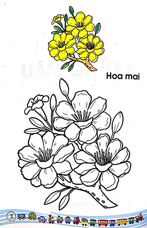 Sách Tập Tô Màu Các Loại Hoa