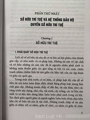 Quyền sở hữu trí tuệ, bảo vệ và chuyển giao (Sách chuyên khảo)