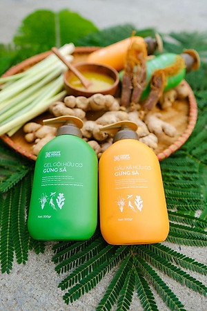 Combo Gội Xả Gừng sả-Cocayhoala- giảm gàu, giảm nấm ngứa, dung tích 440g