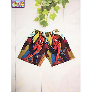 Bộ quần áo bé trai hình siêu nhân nhện - đội bay siêu đẳng từ 10-43kg - chất liệu vải thun lạnh in 3d - Hương Nhiên