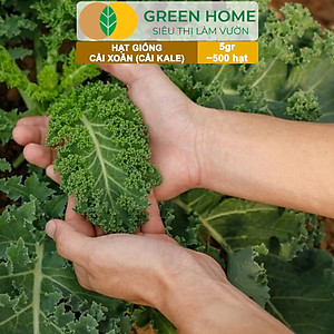Hạt Giống Cải Xoăn Kale Greenhome, Gói 5g, Dễ Trồng Quanh Năm, Nảy Mầm Cao, Thu Hoạch Nhanh, Năng Suất Cao R16