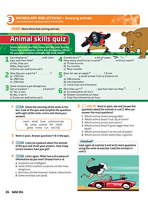 English Plus: Level 1: Student's Book 1