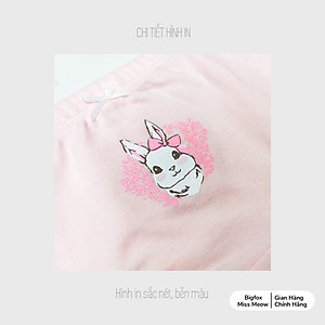 Quần Chip Tam Giác Cho Bé Gái, Set 3 Quần Lót 3 Màu Chất Cotton Cao Cấp, Mềm Mịn, Kháng Khuẩn Cho Bé Gái Từ 10-36kg