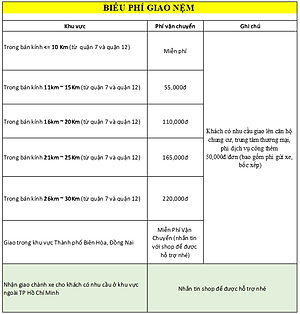 Nệm Bông Ép K-Bedding MTP (Giao màu ngẫu nhiên)