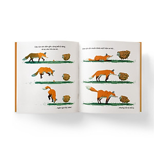 Combo Sách Bữa Tối Của Julian Và Cáo + Bí Mật Của Hòn Đá Đen (Bộ 2 Cuốn)