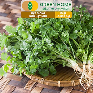 Hạt Giống Gia Vị Greenhome, Nhiều Loại, Trồng Chậu, Dễ Trồng, Chịu Nhiệt, Trồng Quanh Năm, Năng Suất