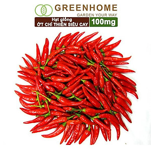 Hạt Giống Ớt Chỉ Thiên Greenhome, Gói 1gr, Sai Trái, Siêu Cay, Dễ Trồng Quanh Năm, Nảy Mầm Cao, Thu Hoạch Nhanh G10