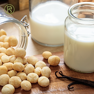 500G Hạt Macca Dinh Dưỡng cho Mẹ - Real Food