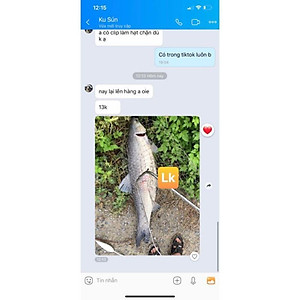 Mồi câu cá Lk Hòa | Thính Lk Câu cá chép trắm trôi siêu nhạy