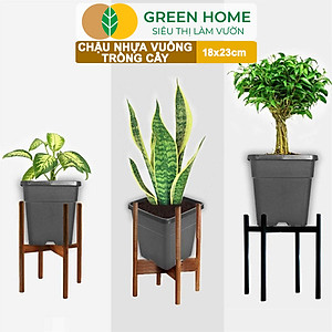 5 Chậu Vuông Trồng Cây Greenhome, Nhiều Kích Thước, Nhựa Cứng, Thoát Nước Tốt, Trồng Hoa, Kiểng Lá