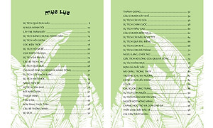 Tuyển Tập Truyện Cổ Tích Việt Nam Dành Cho Thiếu Nhi