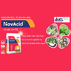  Phân bón hòa tan Isarel 13-40-13+Te không bị lắng cặn trong nước dùng qua hệ thống tưới nhỏ giọt hay tưới phun sương giúp xử lý ra hoa đồng loạt, kích thích ra hoa cho cây