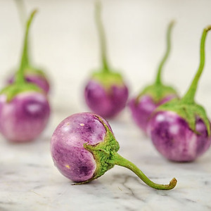 Hạt Giống Cà Pháo Tím Rado 73