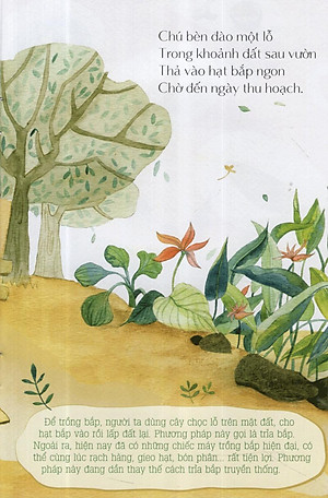 Sách Từ Những Hạt Mầm: Gà Choai Trồng Bắp