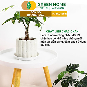 Đĩa Nhựa Lót Chậu Cây Greenhome, Nhiều Kích Cỡ, Hứng Nước Giúp Sạch Bàn, Sàn, Nhựa Nguyên Sinh, Bền, Đẹp, Chóng Rơi Vỡ