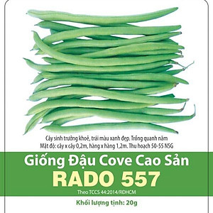 Hạt Giống Đậu Cove Cao Sản RADO 557 - 20gr - Dạng trái thẳng dài, màu xanh mỡ, bóng đẹp, ăn rất ngon và ngọt