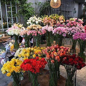 Shop Hoa Bảo Quản Hoa Cắm Lẵng, Hoa Cắm Xốp lâu tàn và hạn chế thay hoa định kỳ bằng Bột Dinh Dưỡng Hoa nhập khẩu Israel hiệu Longlife SG Của Israel (Thùng 5KG Bột Dưỡng Hoa Israel)