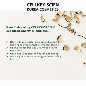 Combo Kem Nền Kem Chống Nắng Che Khuyết Điểm Kiềm Dầu Dưỡng Trắng Chống Nhăn Cho Da Nhạy Cảm Cellkey-Scien BB Sun Cream (80ml)