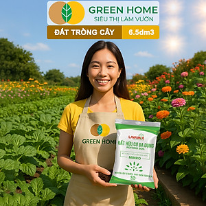 Đất Trồng Cây GreenHome, Lavamix, Bao 6.5dm3 (3kg), Đầy Đủ Dinh Dưỡng, Chuyên Trồng Rau, Hoa, Kiểng