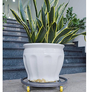Đế lót chậu cây di động, bằng thép sơn tĩnh điện, đế có bánh xe dễ di chuyển