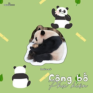 Sách Nhật Ký Hạnh Phúc Của Công Chúa Fubao