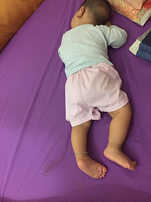 Ga Chống Thấm Bảo Vệ Đệm, Ga Chống Thấm Tuyệt Đối, Giao Màu Ngẫu Nhiên