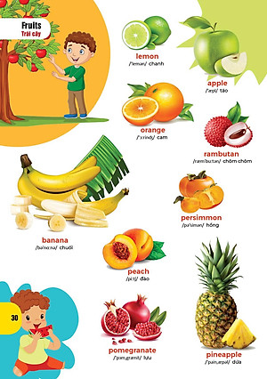 Sách Bách khoa hình ảnh đầu tiên cho bé , song ngữ Anh - Việt , dành cho bé 0-6 tuổi( My First picture encyclopedia )bìa cứng