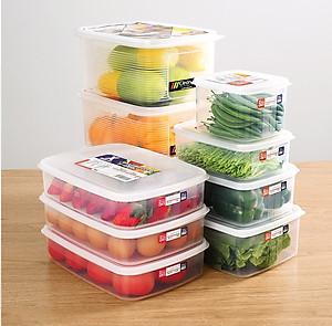 Combo 02 Hộp nhựa Nakaya 3L bảo quản thức ăn trong tủ lạnh, có nắp mềm - Hàng nội địa Nhật Bản