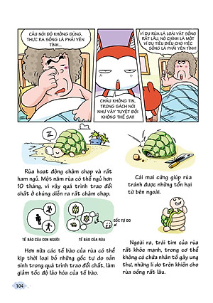 Sách 10 Vạn Câu Hỏi Vì Sao - Khám Phá Thế Giới Đại Dương 1 (Tái Bản)