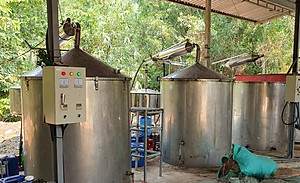 Tinh dầu Gỗ Đàn Hương 100ml Mộc Mây - tinh dầu thiên nhiên nguyên chất 100% - chất lượng và mùi hương vượt trội - Có kiểm định